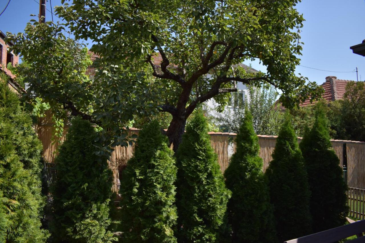 Konak Garavi Sokak Kursumlija エクステリア 写真
